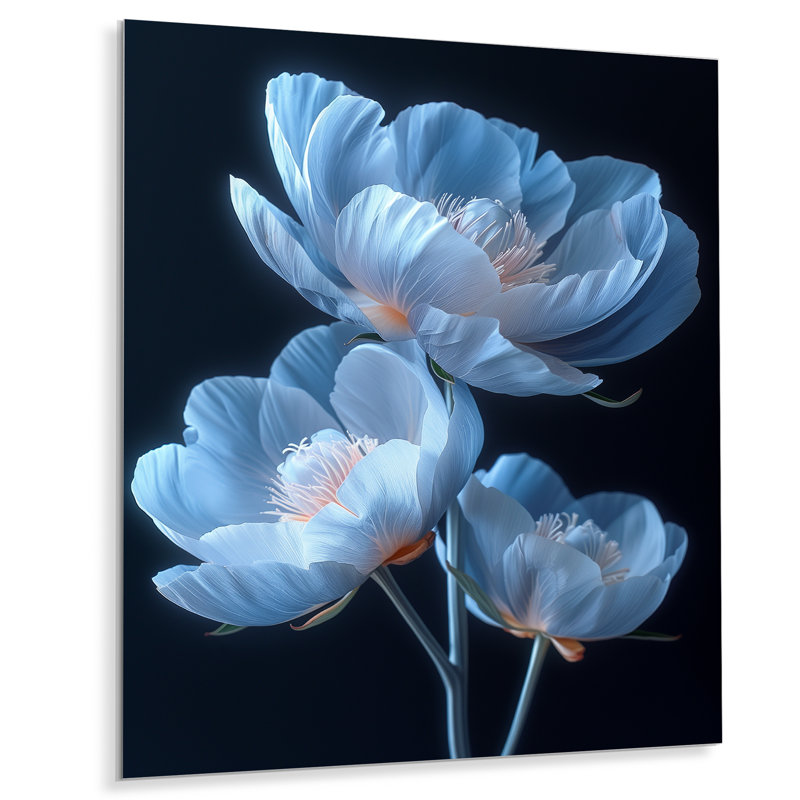 Rodden - pivoines, art mural, Sans cadre, H 12 po x l 20 po