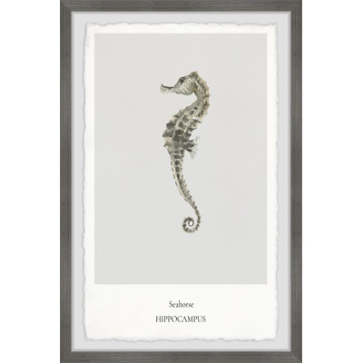 The Hippocampus - Single Picture Frame Print