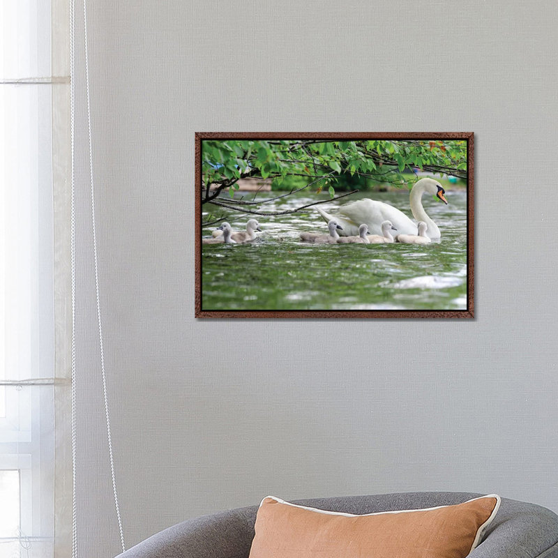 Family Float by David Gardiner - Print on Canvas, Brown Framed, 66.04 cm H x 45.72 cm W