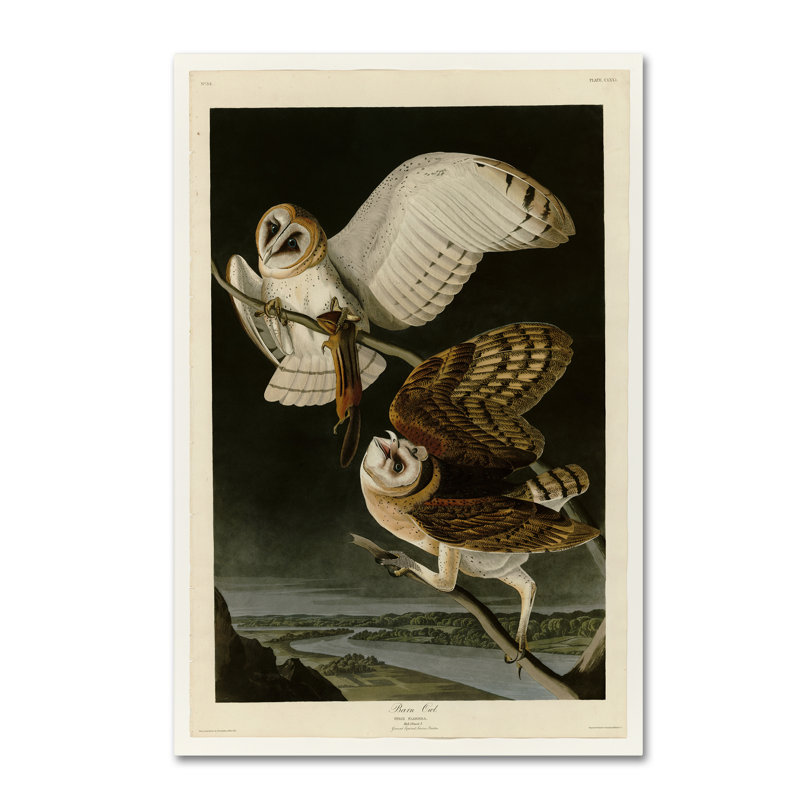 « grange owlplate 171 », reproduction sur toile tendue, H 24 po x l 16 po