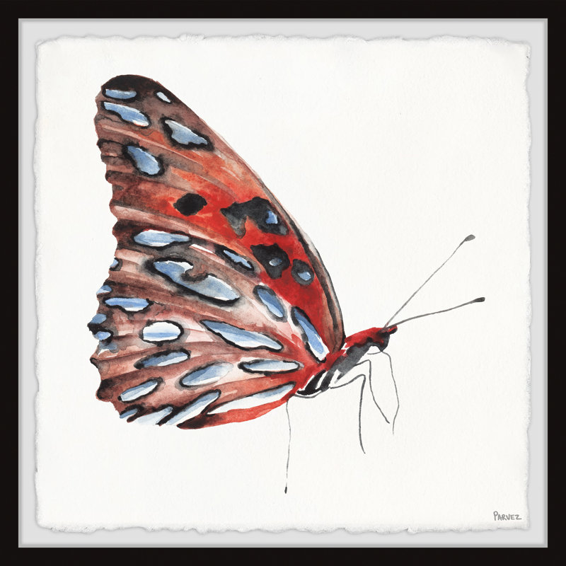 « tiger papillon », impression encadrée, H 32 po x l 32 po x P 1,5 po