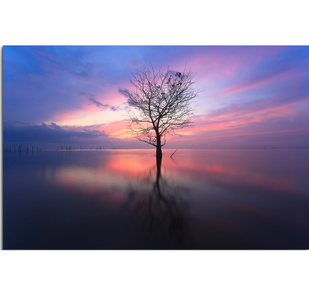 Gerahmtes Leinwandbild Baum bei Sonnenaufgang