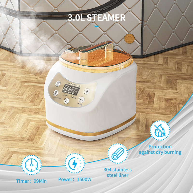 Tente portative de sauna à vapeur pleine grandeur avec cuiseur à vapeur 3l 1500w, chaise et télécommande
