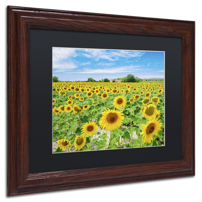 «Field of Yellow» par Michael Blanchette, reproduction de photo encadrée