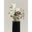 Arrangement floral Wabi Sabi