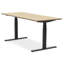 Adjustable Standing Desk-591470964-591470953