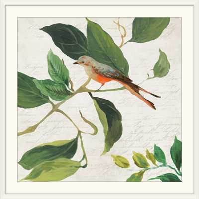 « i » asia jensen, impression Singing Bird