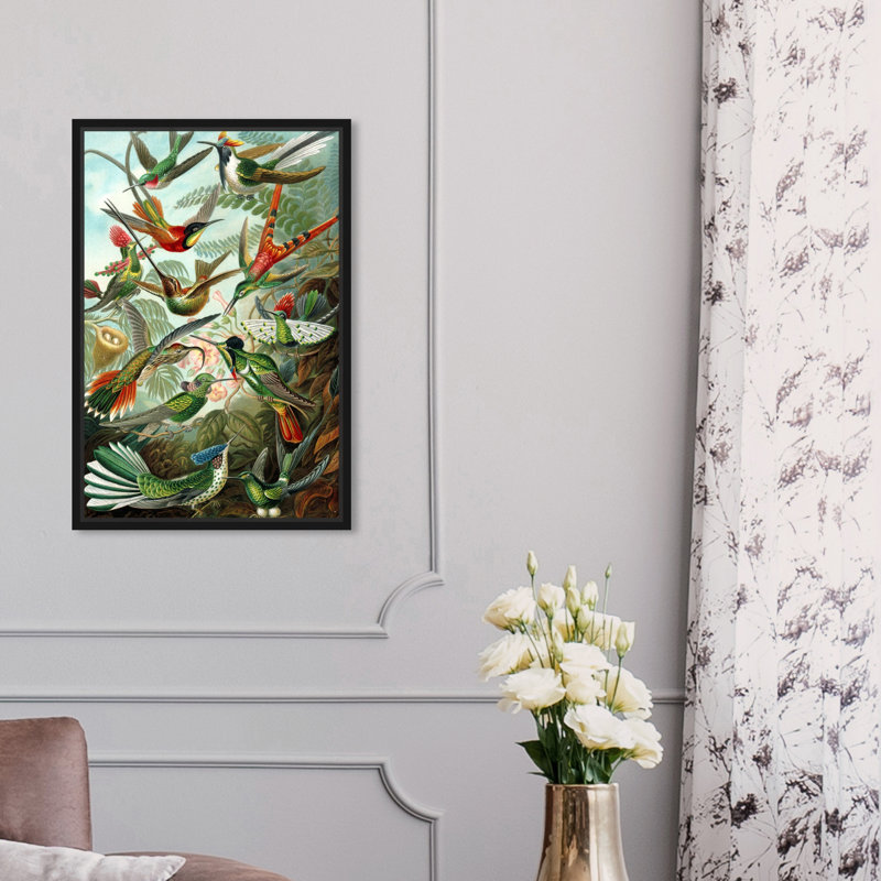Haeckel - Étude d'oiseaux, impression, H 15 po x l 10 po, Toile avec cadre noir