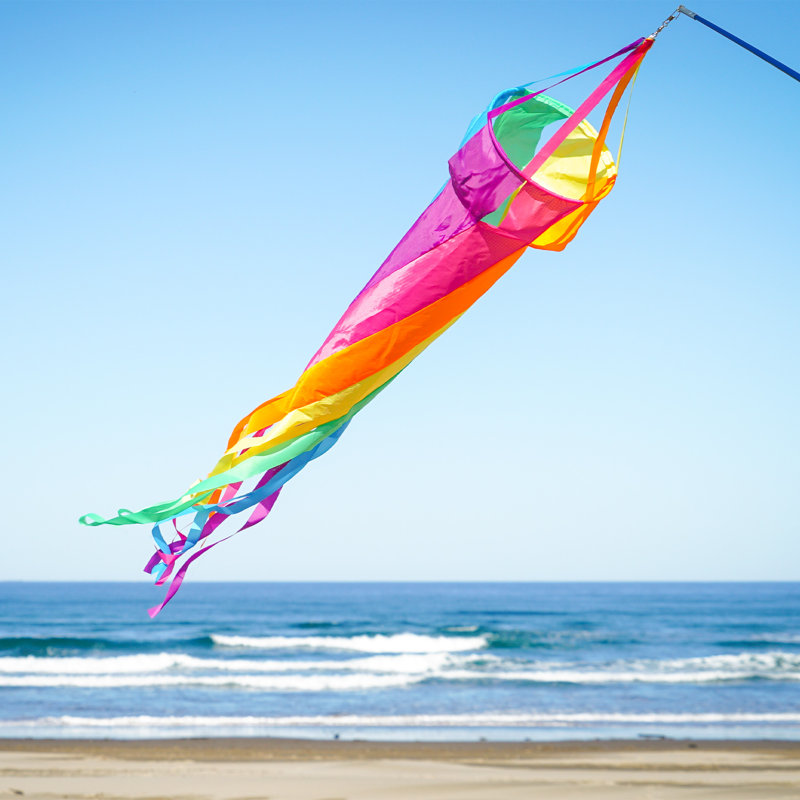 Fiesta Spinsock Windsock Spinner