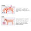 Station de ravitaillement pour chien 23 po