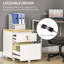 47 cm W 2 -Drawer Filing Cabinet