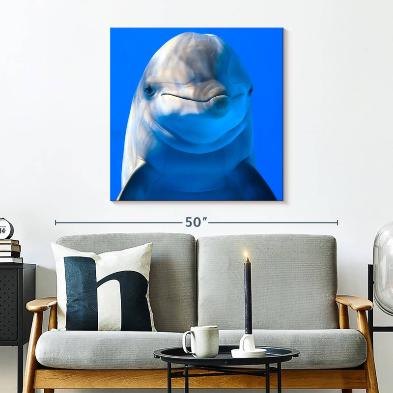 Brampt Sociable Dolphin, 30" H x 30" W