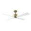 Launceton Downrod Ceiling Fan-1074329044