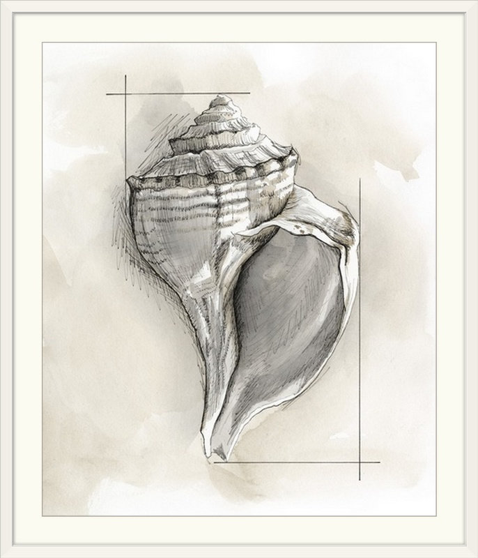 « i » megan meagher, reproduction d’art Shell Schematic, Cadre blanc, H 32 po x l 27 po x P 1 po