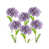 Purple selected