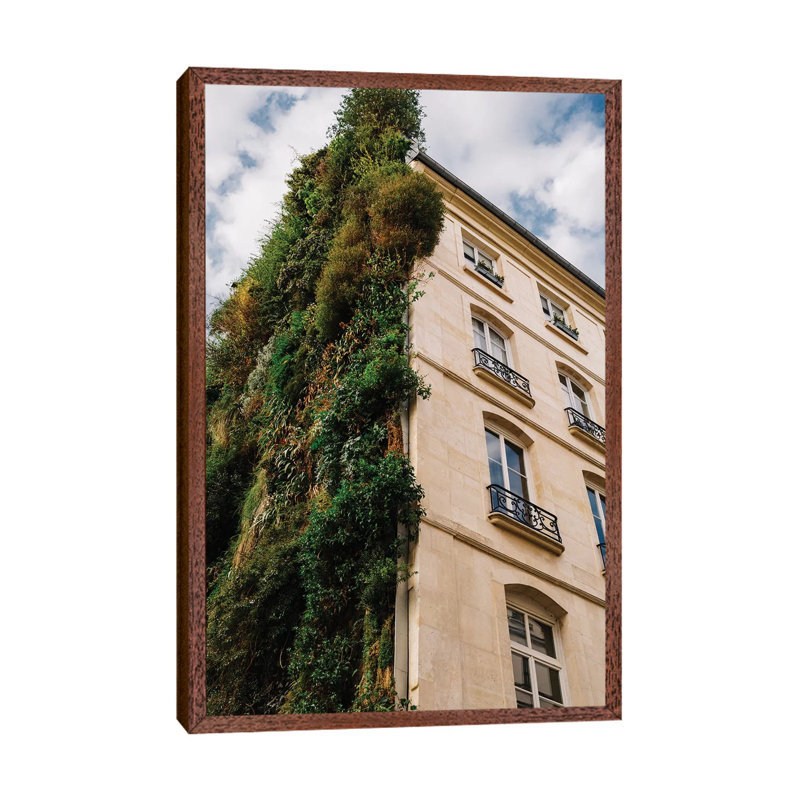 Parisian Vertical Garden IV by Bethany Young - Print on Canvas, 101.6cm H x 66.04cm W x 3.81cm D, Classic Brown Wood Framed