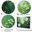 «White and Green Herbs Symphony II», ensemble d'art mural sur toile à motif floral-1682970881-1682970886
