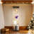 Compact Lighted 4-Shelf Glass Display Cabinet With One Door, For Showcasing Collectibles And Saving Space-62374040