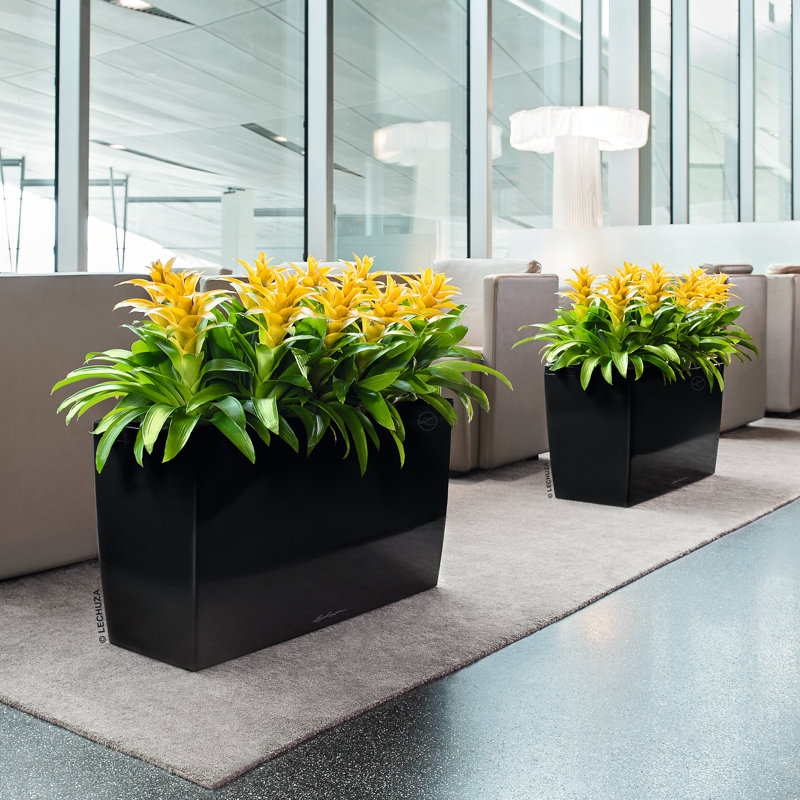 Cararo Pot Planter, Black