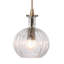 Mini-luminaire suspendu 1 lumière Portree Carafe