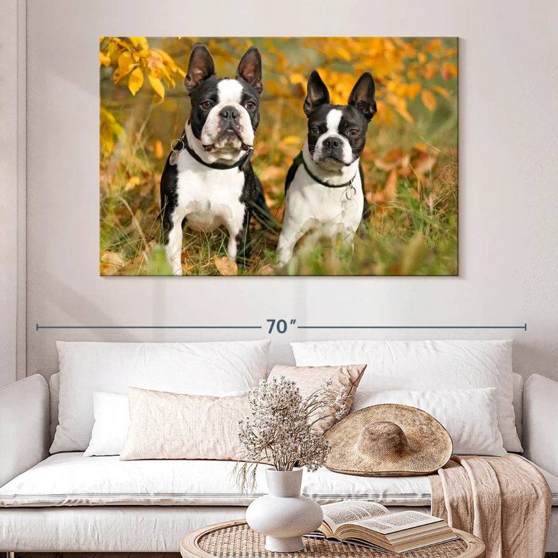 Boston Terrier Couple, H 34 po x l 51 po