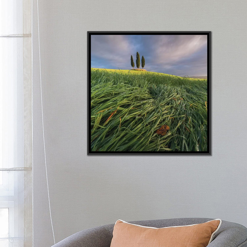 «Spring in Tuscany VI», impression sur toile, H 26 po x l 26 po x P 1,5 po, Toile encadrée noire, Pas de tapis