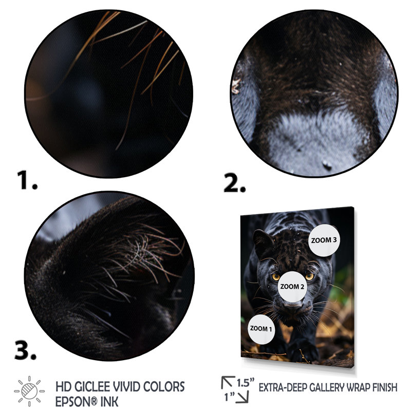 «Black White Animal Panther Portrait II», reproduction sur toile, H 44 po x l 34 po x P 1,5 po, Cadre flottant doré