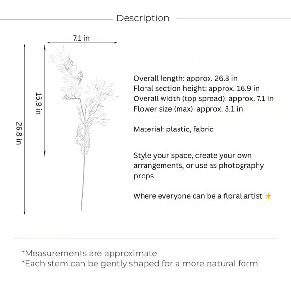 Dimensions du produit