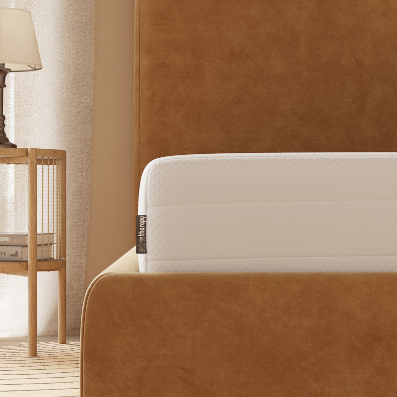 FoamTech10 Viscotherapy Foam Mattress, Single (3')