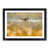 Black Framed selected