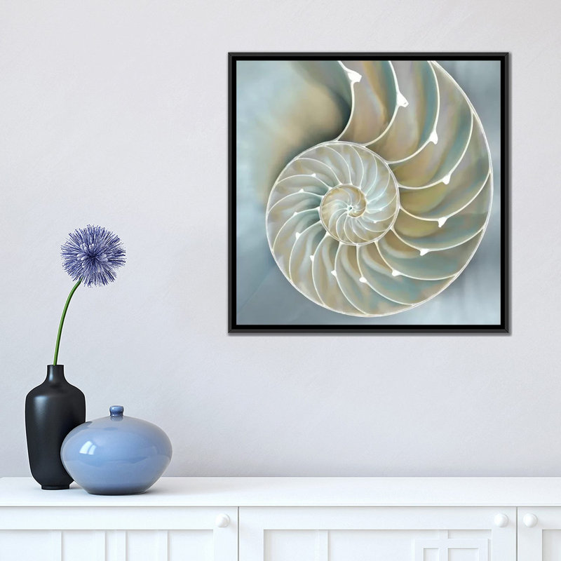 «Nautilus in Blue II», impression sur toile, H 18 po x l 18 po x P 1,5 po, Toile avec cadre noir, Pas de tapis