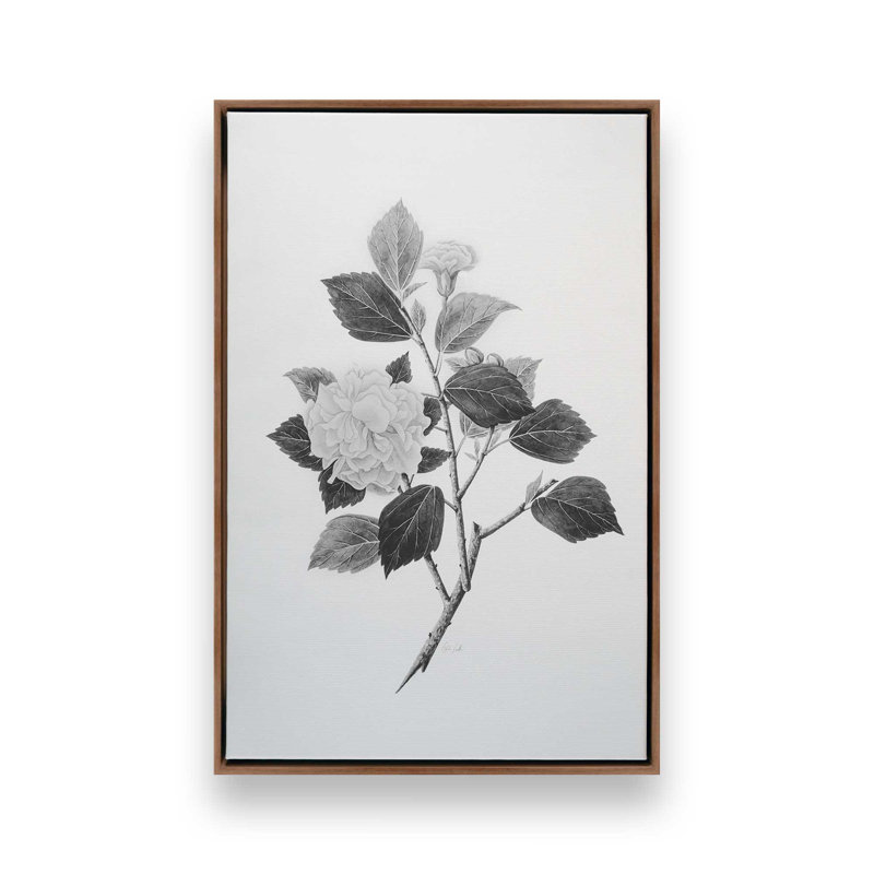 «Botanical V» par Deborah Revell, reproduction d'art sur toile, H 30 po x l 20 po, Cadre flottant, Brun