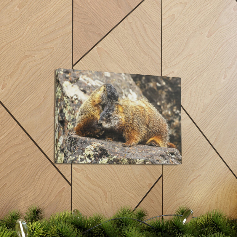No Frame Print on Canvas, 11cm H x 14cm W