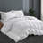 600in³/oz Fill Power All Season Goose Down Comforter-1481317997