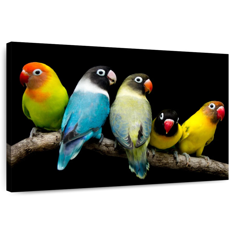 Brampt Five Lovebird Pets, 34" H x 51" W