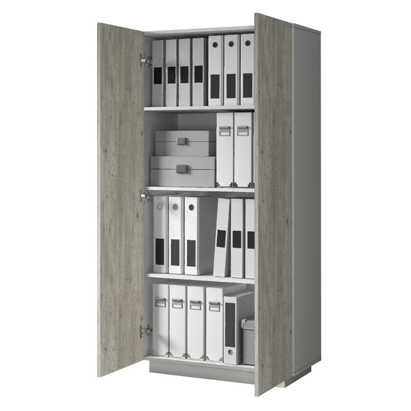 Sawaira 2 -Door 3 -Shelf Storage Cabinet