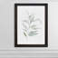 « ethereal eucalyptus ii »-impression du cadre sur verre-316484354-316484413