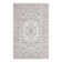 Teisuke Oriental Indoor Rug