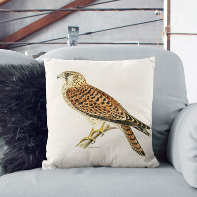 A Common Kestrel Square Throw Cushion