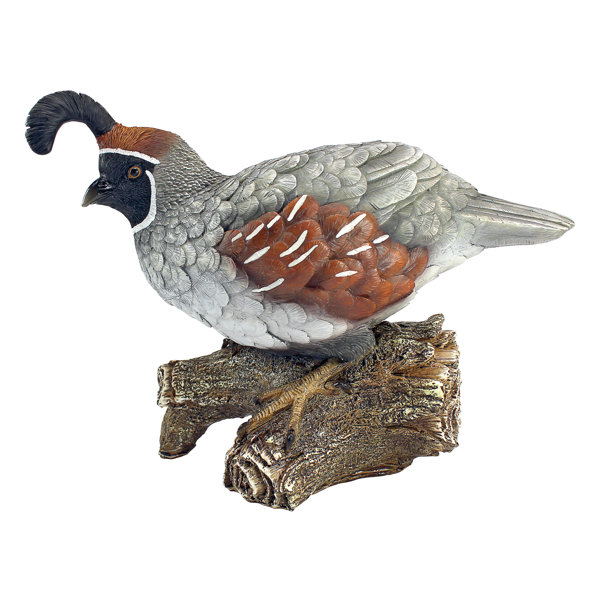 Design Toscano Coco, The Quail Bird Statue & Reviews