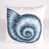 Nautilus Shell