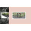  Ensemble de jardin surélevé galvanisé 8 x 4 x 1 pi, boîtes à fleurs en métal pour l'extérieur avec assemblage facile, grand lit de jardin pour légumes, fruits, fleurs, gris foncé rectangulaire