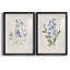 «Blue Botanical I», ensemble de 2 reproductions d'art-2026522019-2026522023-2026522011