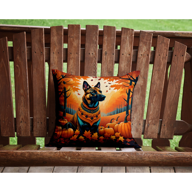 Other/No Pattern Outdoor Throw Pillow, Square 14"