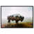 Black Floater Frame selected