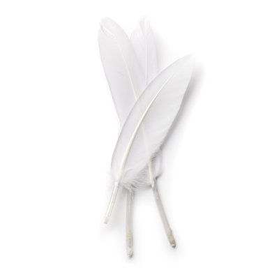 Trois plumes blanches par Bill Oxford