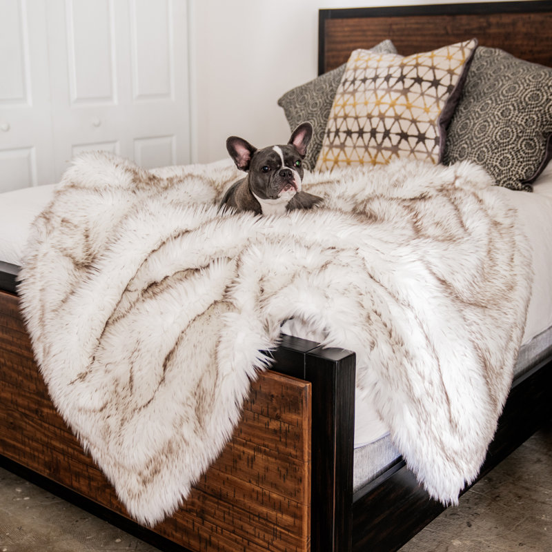 PupProtector Waterproof Throw Blanket, White/Brown Accents, 60" x 50"