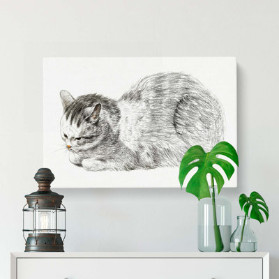 Restful Cat by Jean Bernard - Wrapped Canvas Drawing - Wrapped Canvas