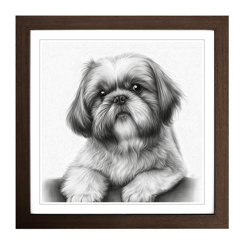Shih Tzu Drawing - Single Picture Frame Print on Wood, Walnut