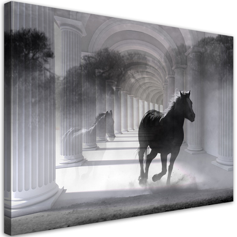 Horse Galloping 3D Tunnel - Wrapped Canvas Print, 80cm H x 120cm W